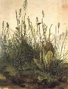 Albrecht Durer The Great Ture oil painting